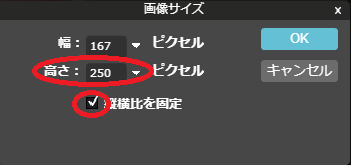 サイズ調整